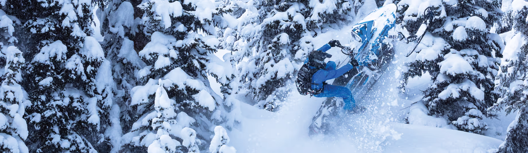 SnowMobiles
